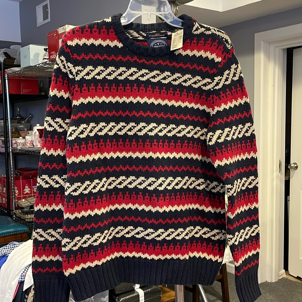 American Eagle Outfitters Men’s Sweater Size M Athletic Fit Blue/White Knit Crew